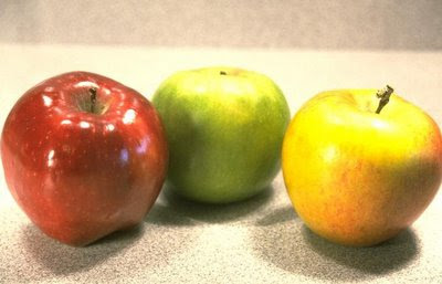 autumn activities NAMC montessori classroom placemats apples