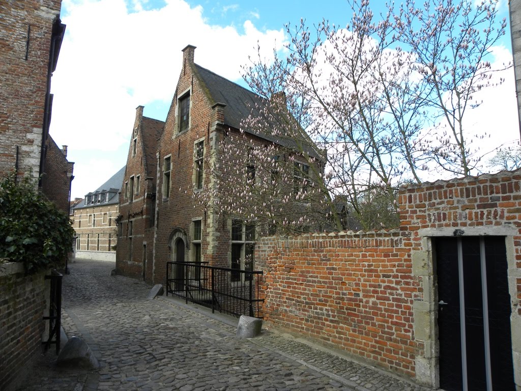 Begijnhof+Leuven+03.JPG