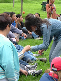 Recuperación de un bosque