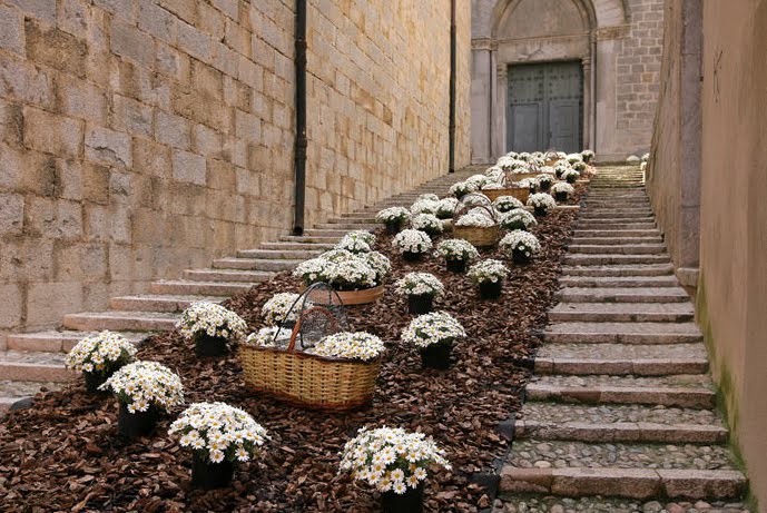 Concurso: Girona Temps de Flors 2011 ~ Jardinería y Paisajismo