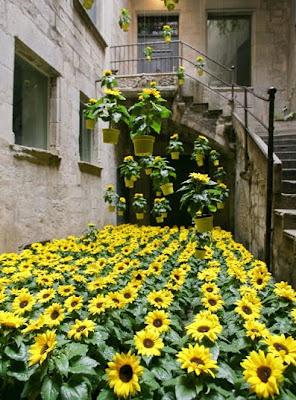 Gerona Flores