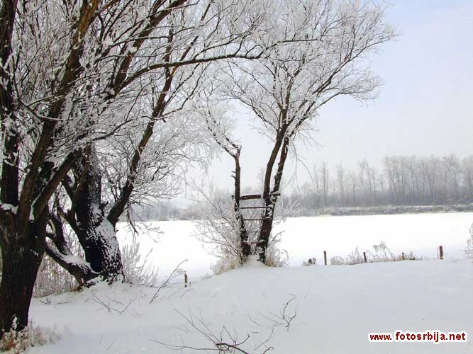 Tabanovačko jezero zimi