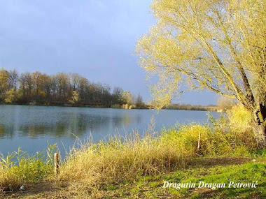 Tabanovačko jezero u proleće