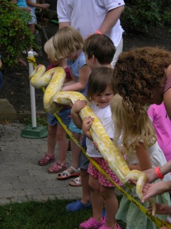 [Albino+Python.JPG]