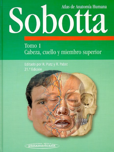 Diamond Anatomia dental - laleocom