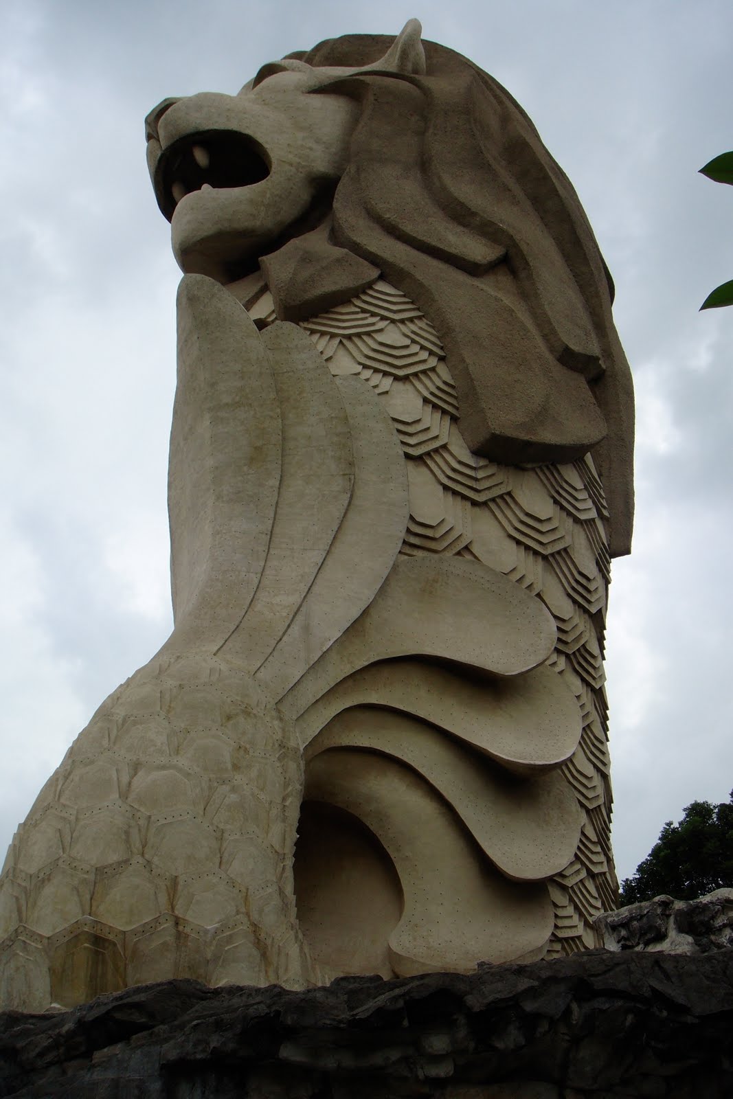 [DSC01118.jpg]