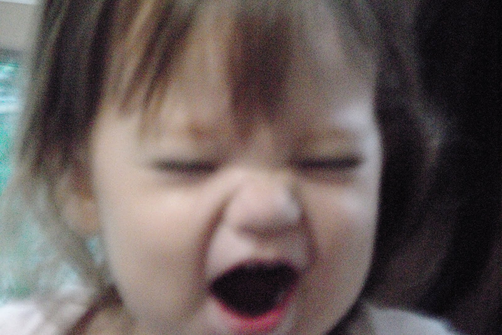 [DSC01213.JPG]
