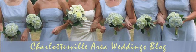 Charlottesville Area Weddings Blog