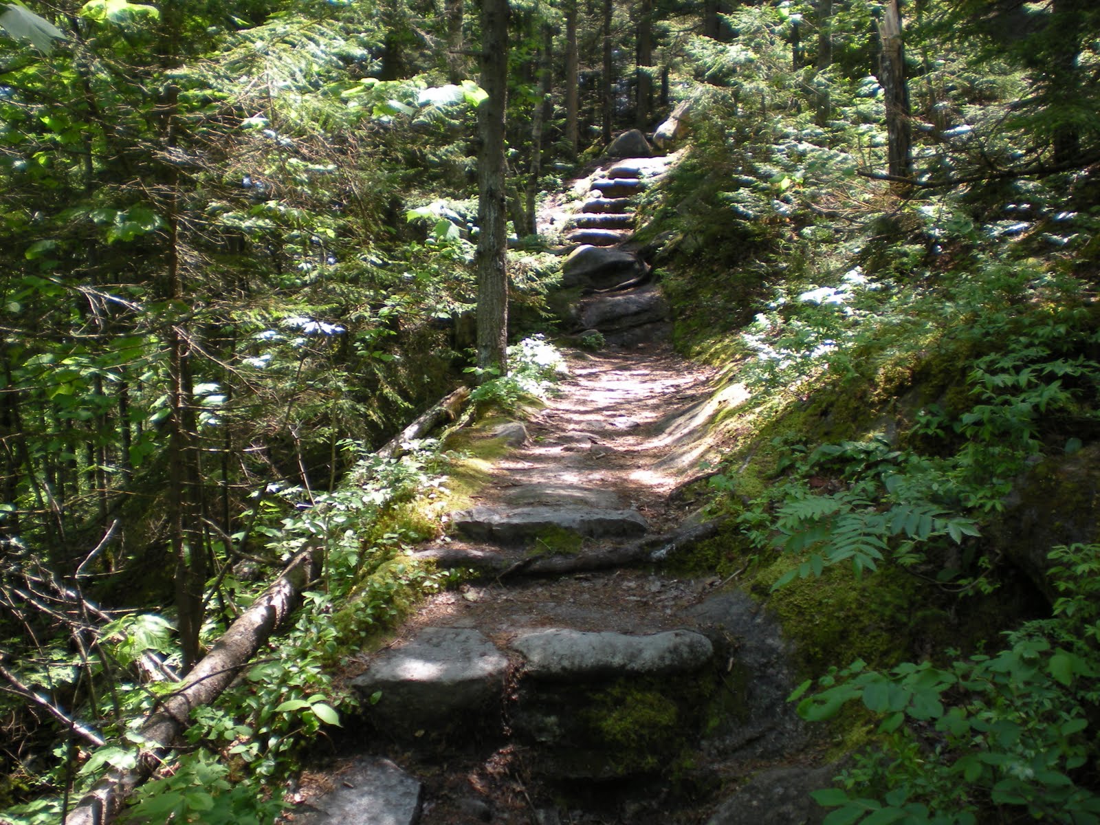 Maine 2010 Owls Head Hike