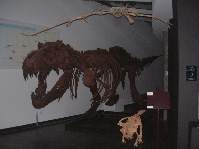 [Expolab_trilhoVida_2.JPG]