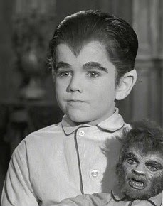 Cells In Culture Widow S Peak