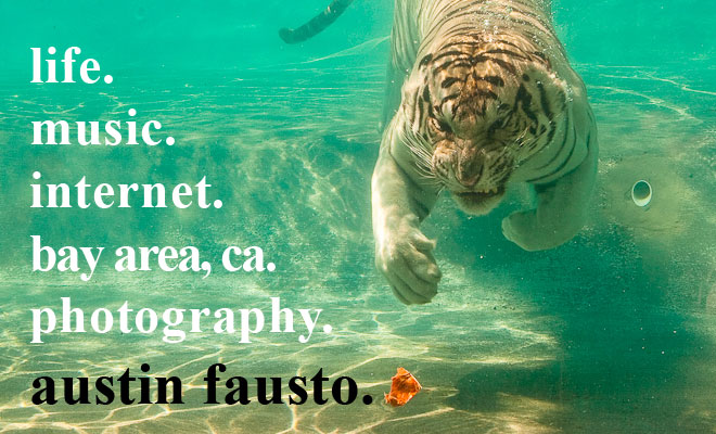 Austin Fausto // photography / bay area, ca / internet / music / life