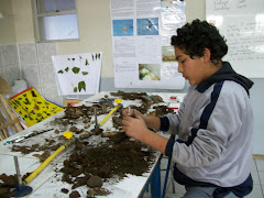Aportes al conocimiento de la alimentación de los  habitantes primitivos de Concón  2.300 a 1.800