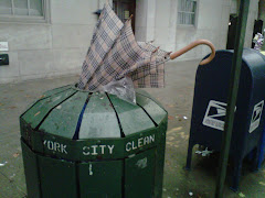 The rain and winds that whip through NY have taken quite a toll on numerous umbrellas...