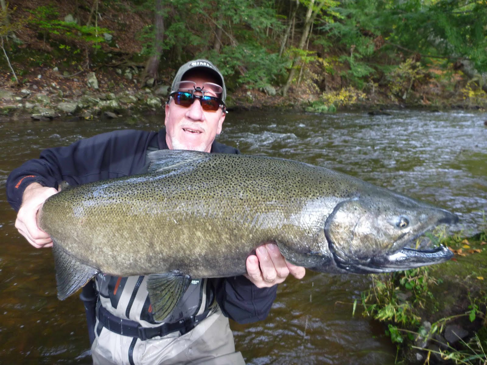 Salmon Country Guide October 13 Back in Pulaski NY and the Salmon River