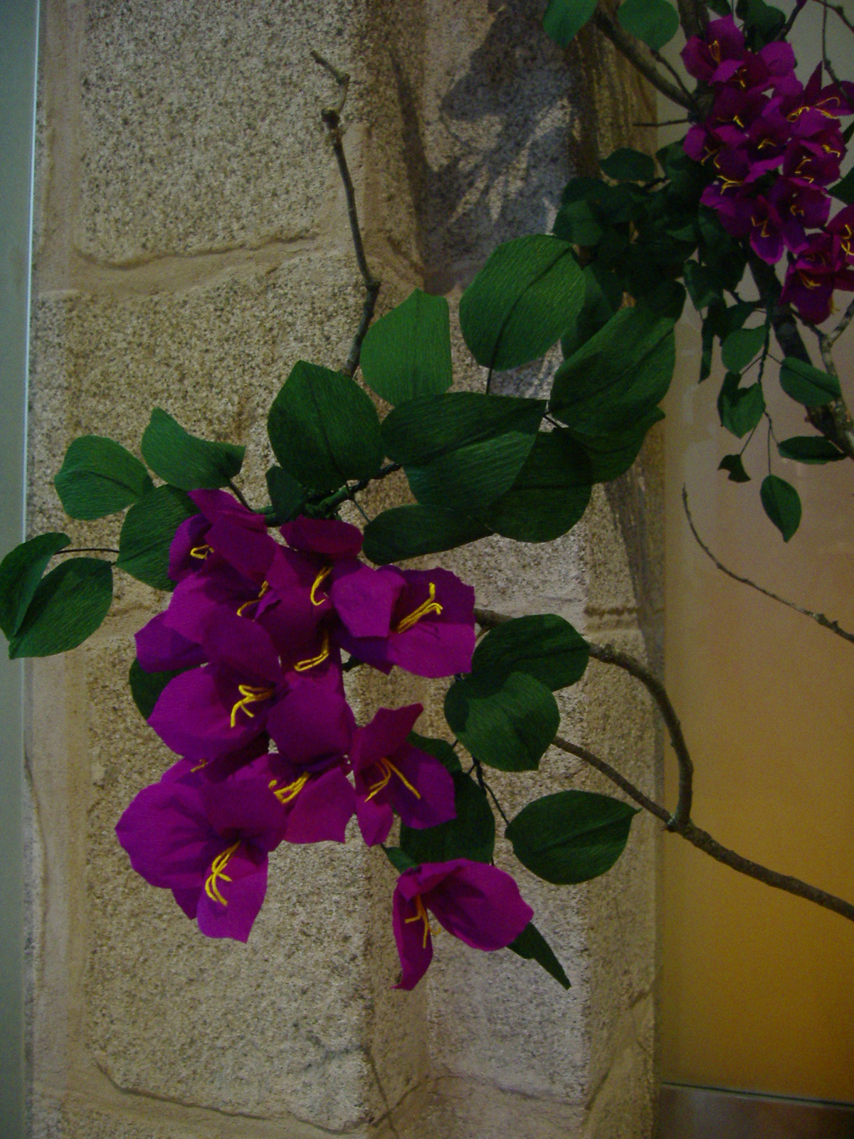 [DSCF2813.JPG]