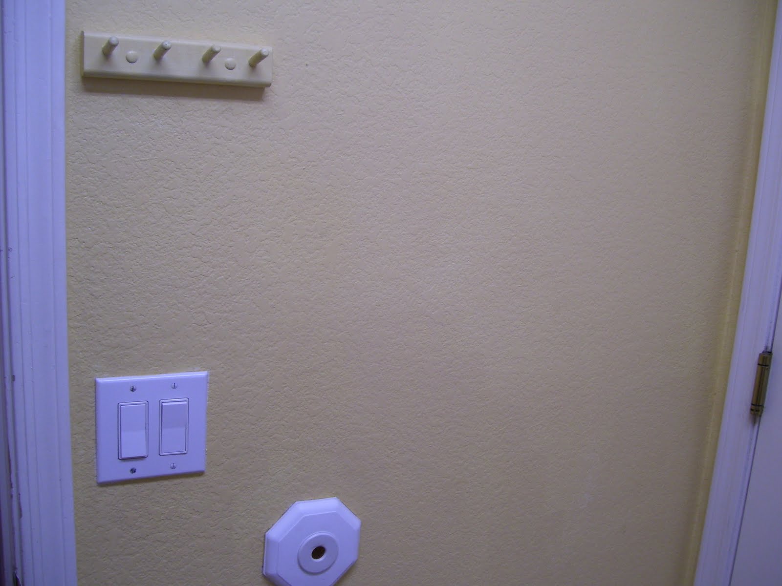 A Lil Bird told me... One Dollar Wednesday... Coat Hooks