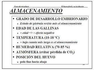 easybreed: junio 2009