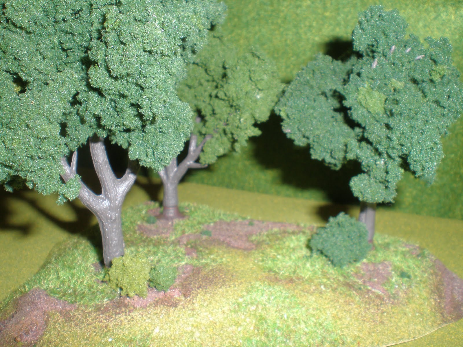 [Trees+flash+2.JPG]