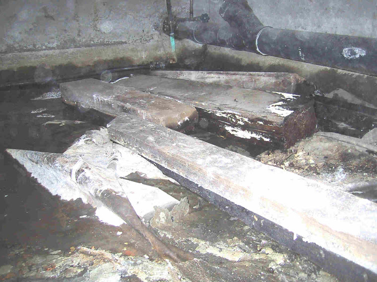 Wooden Debris and Water on the crawlspace vapor barrier.