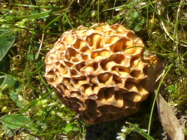 [PICT3105.JPG]
