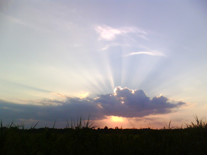 Sunset in Pematang Gadung