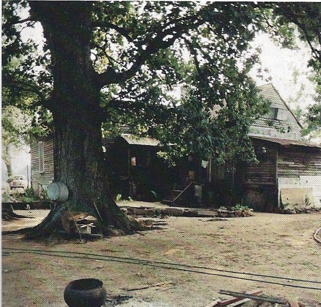 The Blushing Hostess Entertains The Swept Yard