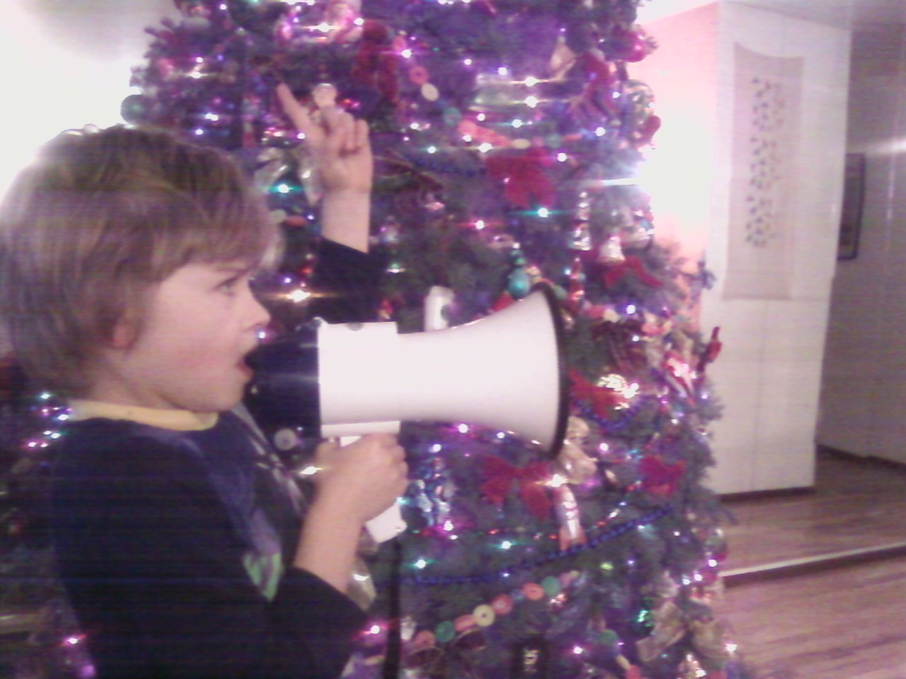 [megaphone]