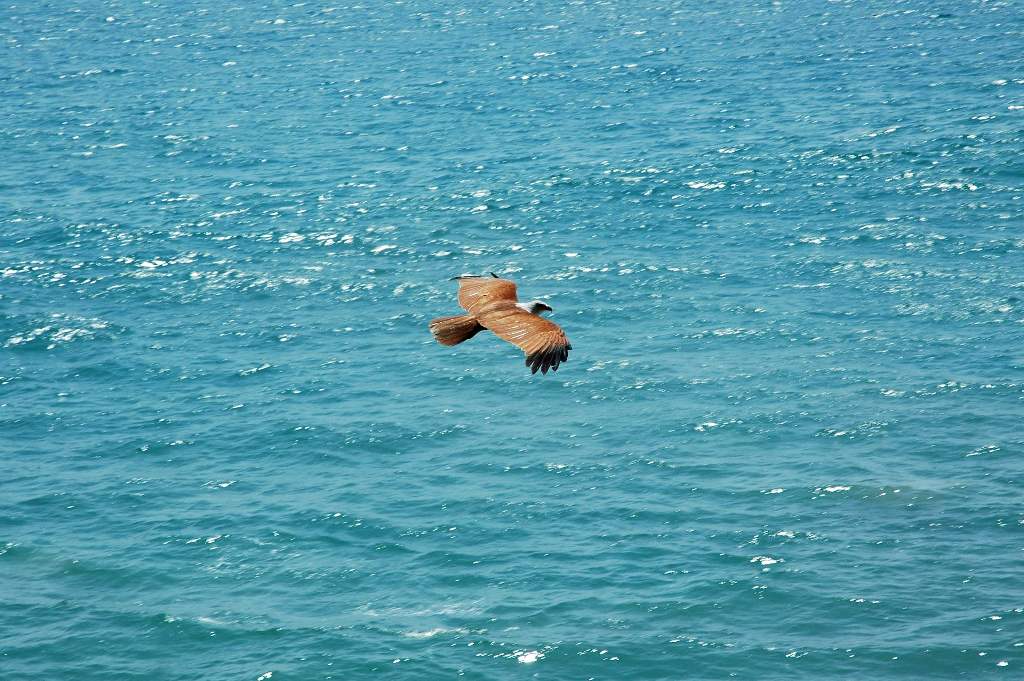 [DSC_8467.JPG]