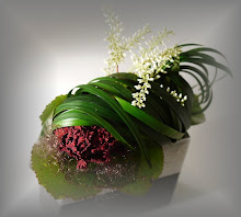 アスター　ホームページ