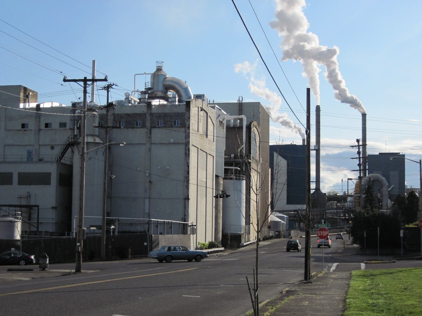 The Schramm Journey Camas Washington