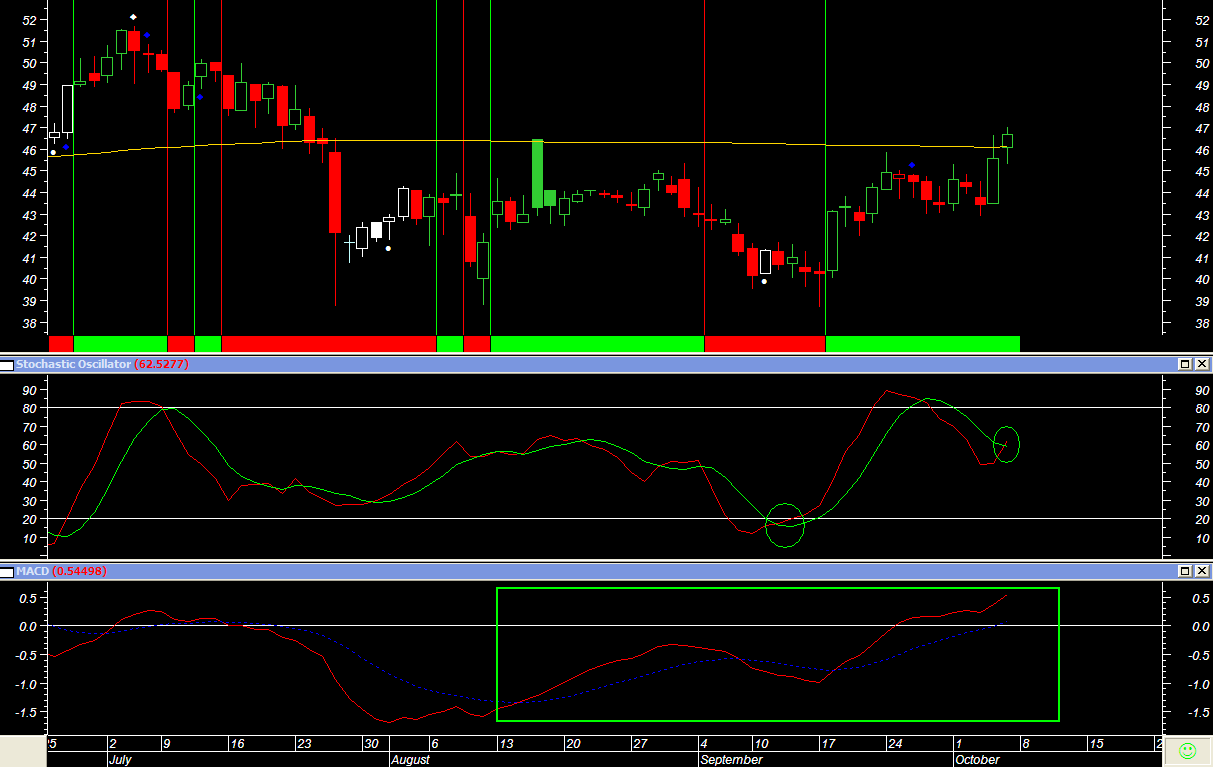 [Steiner+Leisure.gif]