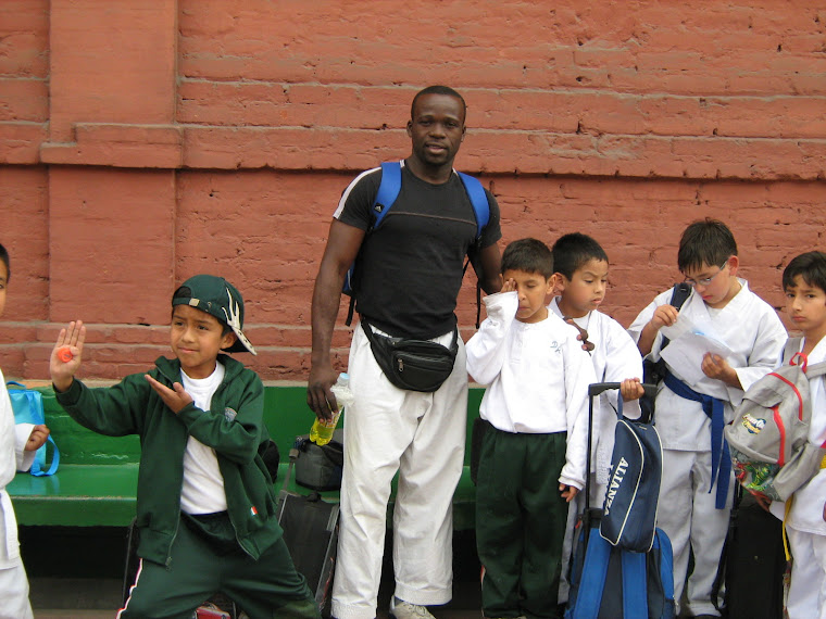 karate como educacion fisica