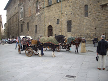 "Tourist Horse carriages" on Piazza Della Signoria.