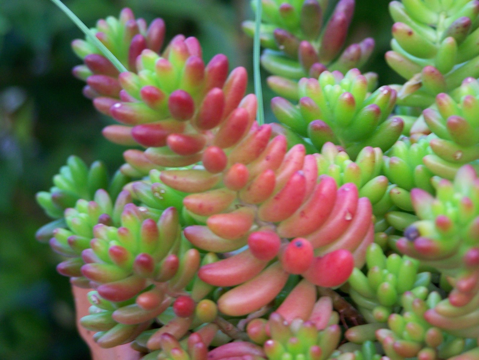 [100_0227.jpg]