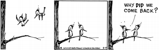[mutts+-+why+come+back.gif]