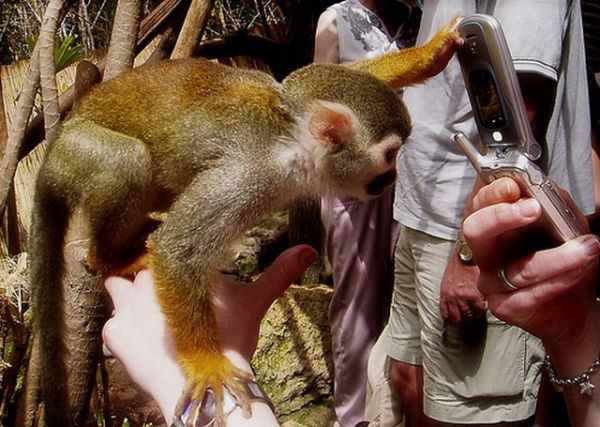 [animals_and_cameras_35.jpg]