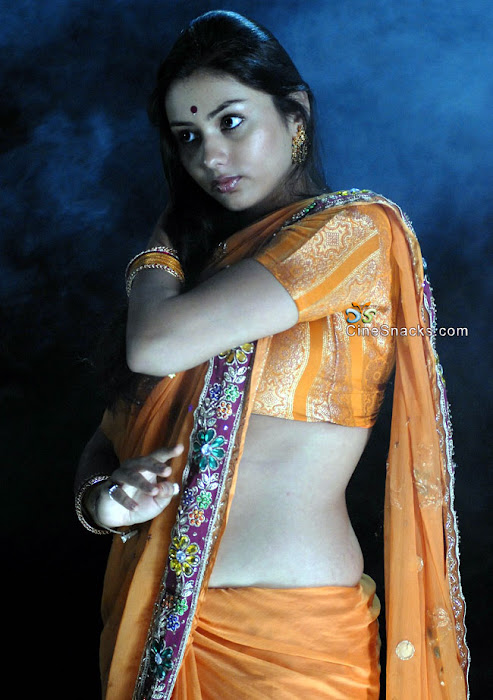 namitha in orange saree actress pics