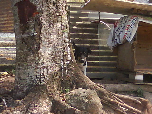 [DSC06798.JPG]