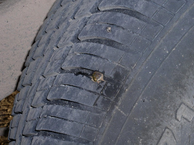 No, the tire did not lose noticeable air pressure that entire time. How?