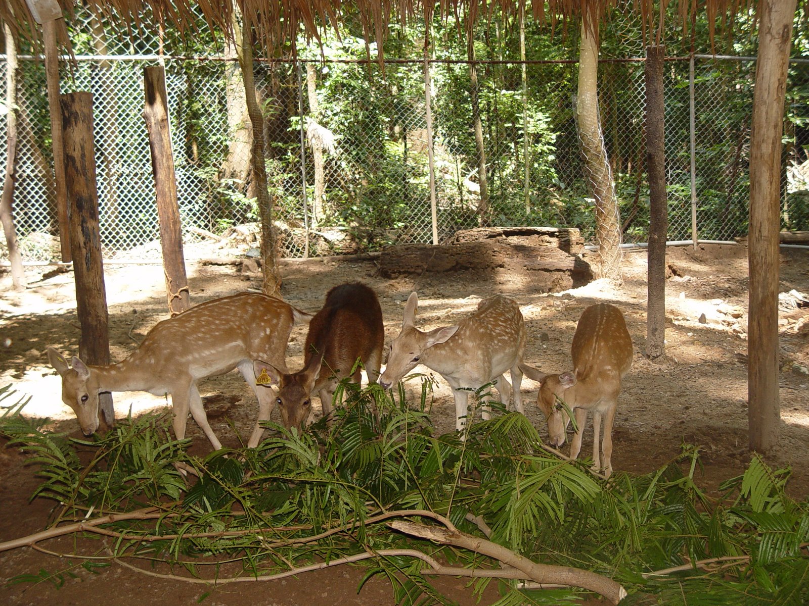 [DSC01059.JPG]