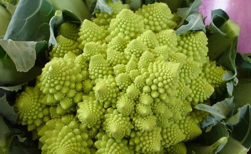Let's Talk Nutrition! Broccoli Romanesco