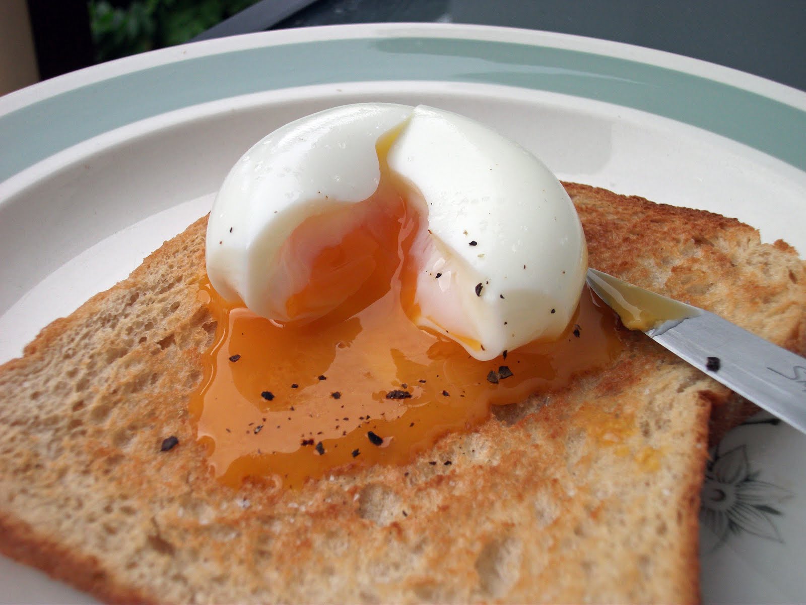 Coddled egg Alchetron, The Free Social Encyclopedia