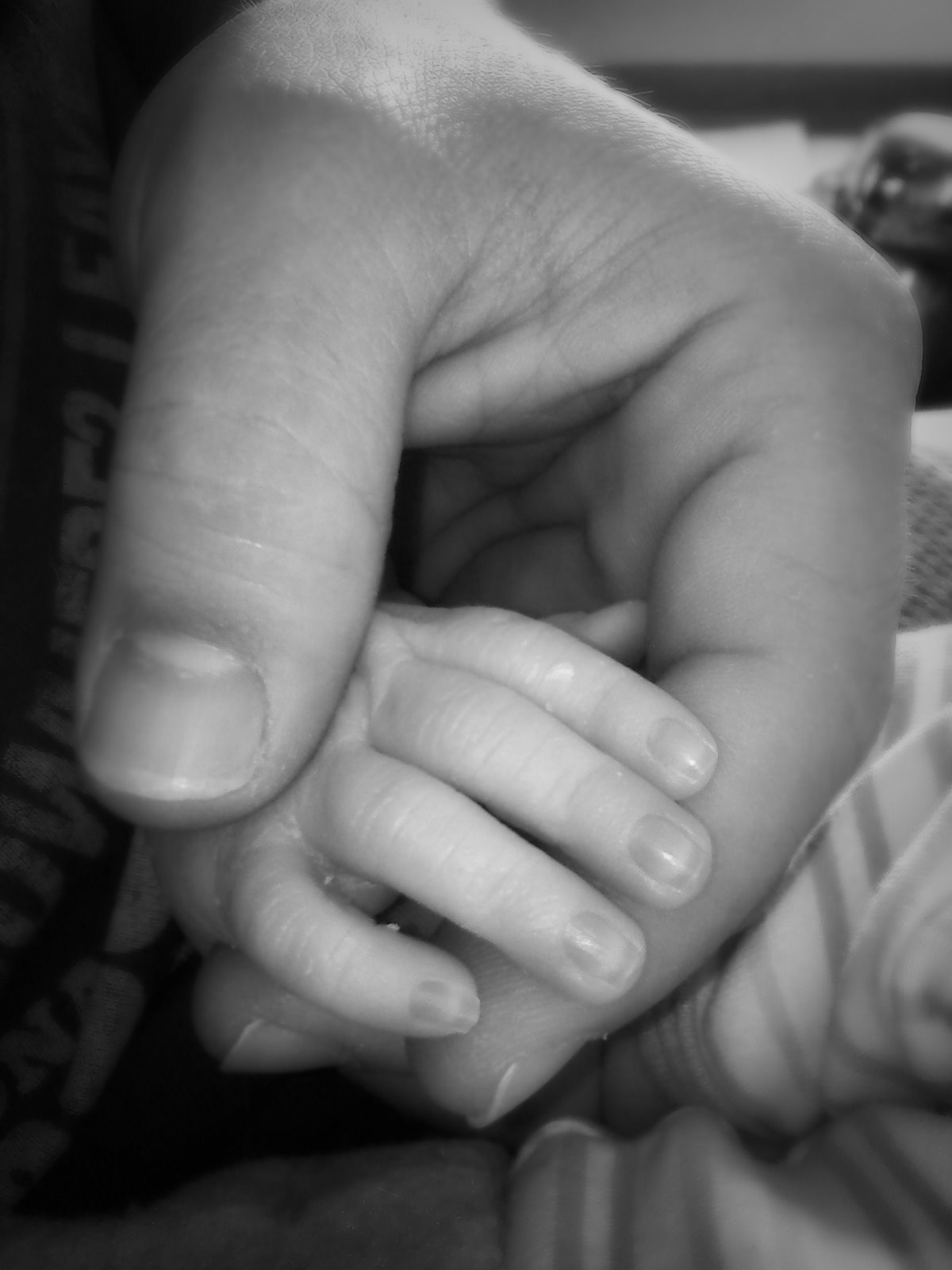 [30-365+-+My+Boys'+Hands.jpg]