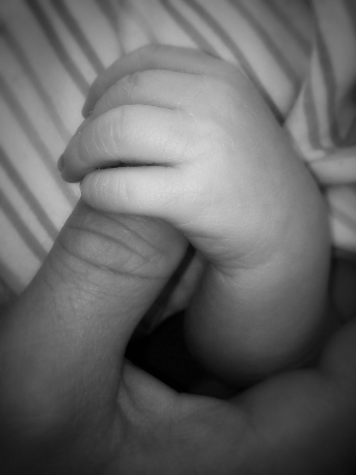 [31-365+-+Holding+Daddy's+Thumb.jpg]