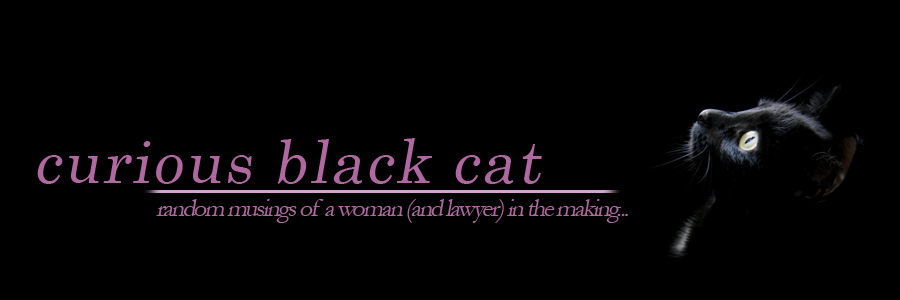 The Curious Black Cat