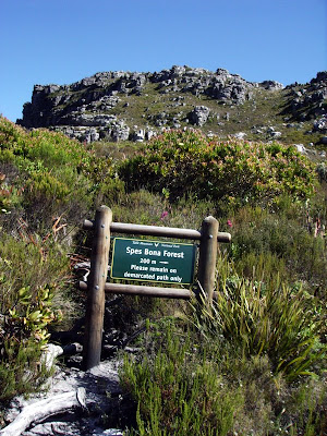 Echo Valley Hiking Trail Walking The Cape: Spes Bona And Echo Valley, Kalk Bay