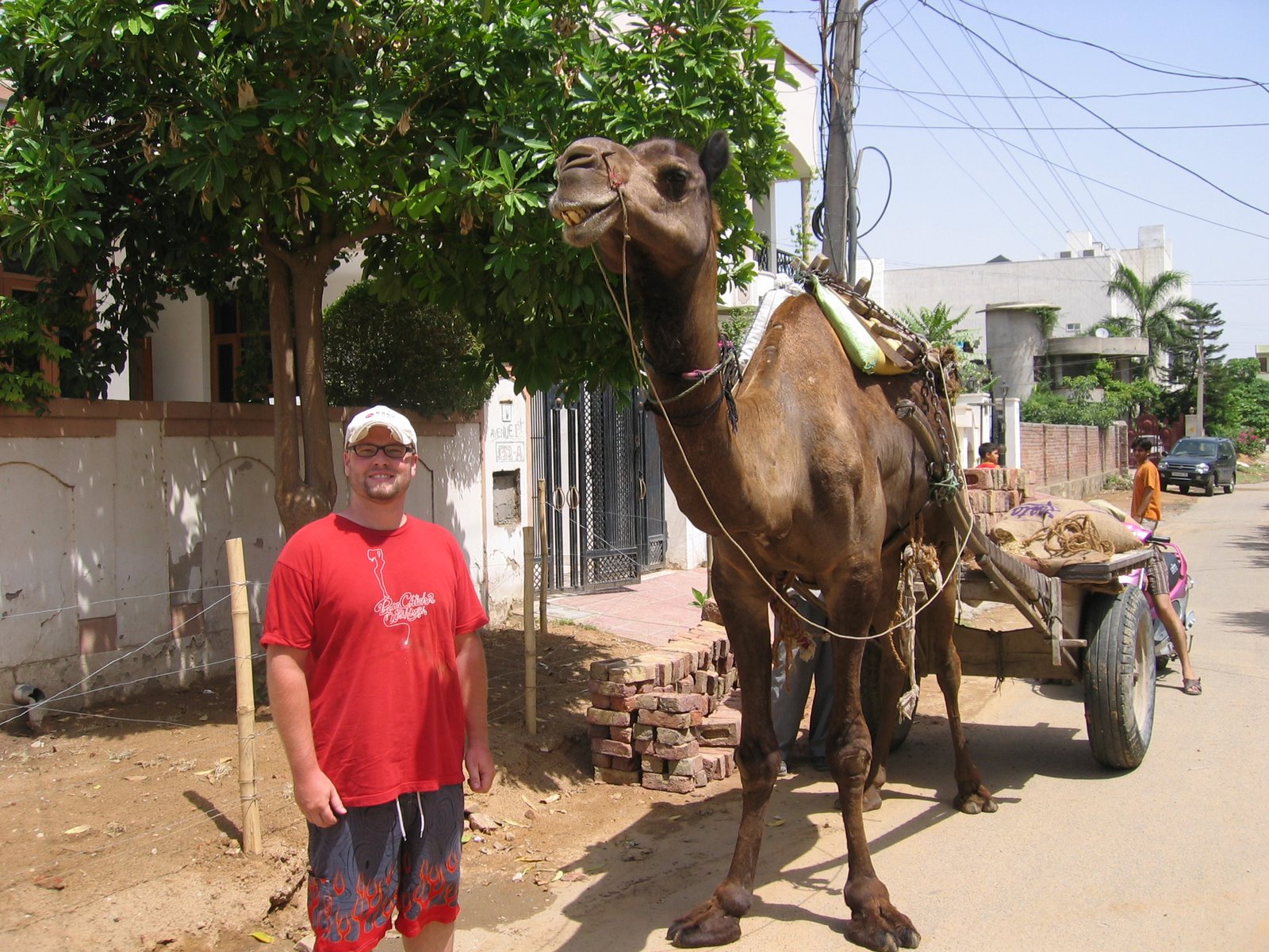 [IMG_4100.JPG]