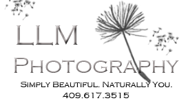LLM Photography