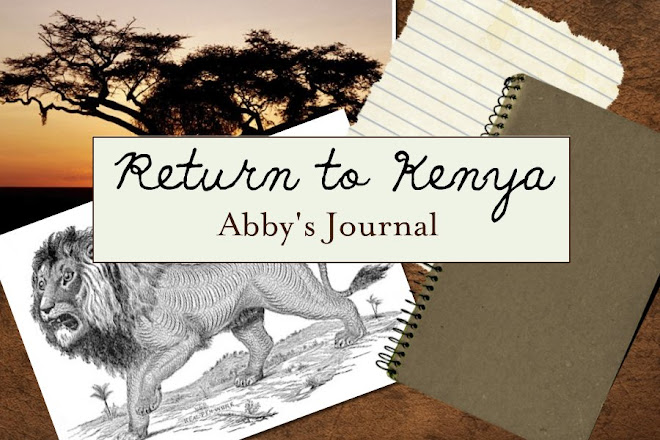 Return to Kenya - Abby's Journal